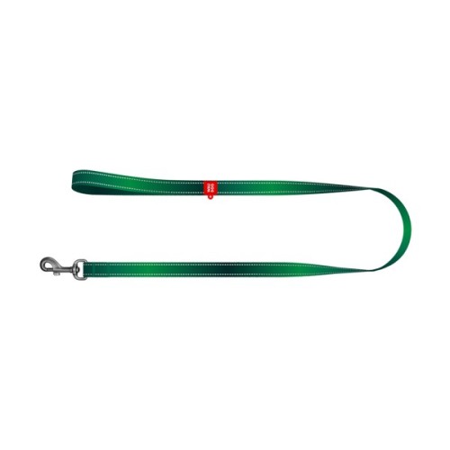 Повідець для собак WAUDOG Nylon Mono світловідбивний M 20 мм, 200 см, зелений (463718)