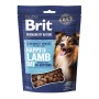 Ласощі для собак Brit Premium Semi-moist Snacks Lamb with Sea Buckthorn напіввологі з ягням і обліпихою 180 г (8595602573943)