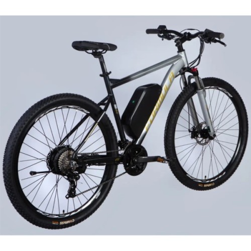 Електровелосипед Formula 29" eF-1 DD CS рама-21" 48B 17.5А*г 500Вт 2026 сріблясто-чорний (ELB-FR-29-256)