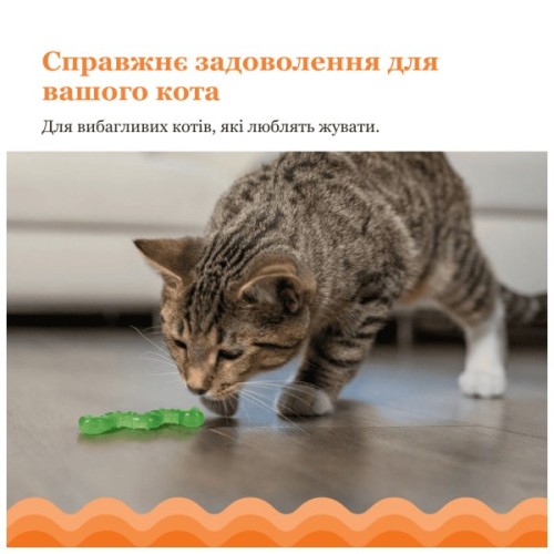 Іграшка для котів Catstages Хробачок 10 см (0871864003298)