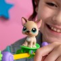 Фігурка Littlest Pet Shop Шоу талантів (00558)