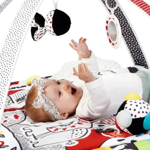 Дитячий килимок Kinderkraft 4SMART (5902533915903)