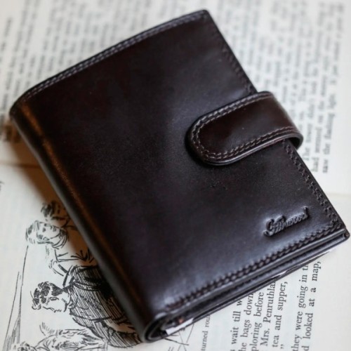 Гаманець Ashwood 1246 VT Brn