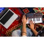 MIDI-клавіатура Akai MPK mini 4 Black (302370)