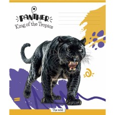 Зошит Школярик King of the Tropics 18 аркушів клітинка (018-3421K)