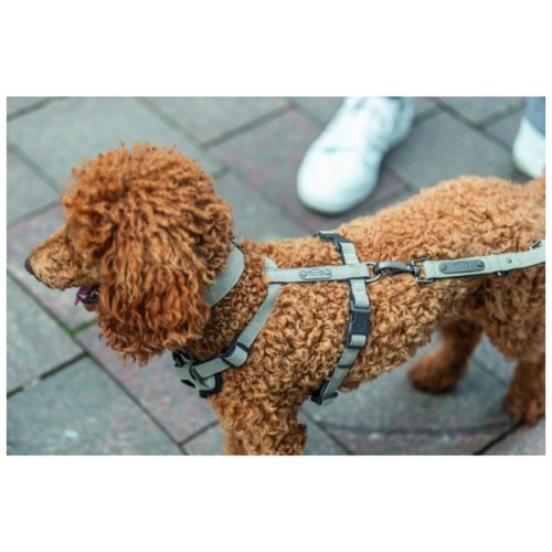 Шлея для собак Trixie CityStyle H-harness Бавовна XS–S 30–44 см 10 мм Світло-сіра (4053032682603)