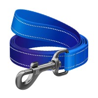 Повідець для собак WAUDOG Nylon Mono світловідбивний M 20 мм, 200 см, синій (463712)