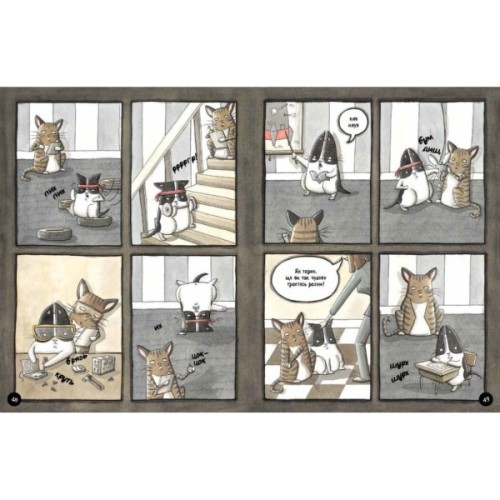 Книга Бінкі. Випробування - Ешлі Спайрс Ранок (9786170980199)