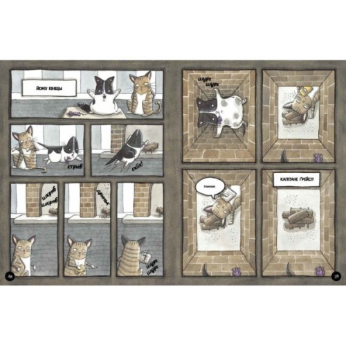 Книга Бінкі. Випробування - Ешлі Спайрс Ранок (9786170980199)