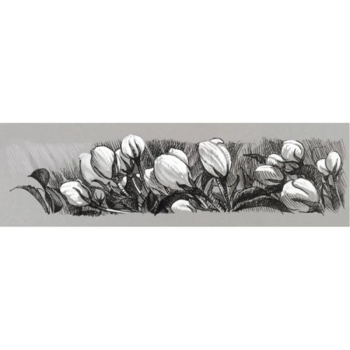 Лайнер Faber-Castell набір капілярних ручок PITT Artist Pen black & white чорний/білий 4 шт різних діаметрів (28939)