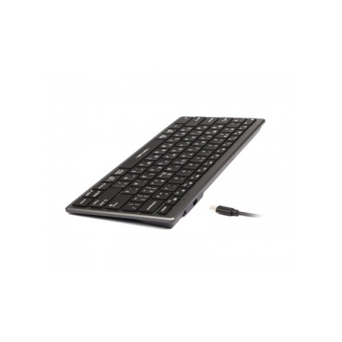 Клавіатура A4Tech FX61 USB Grey (4711421976411)