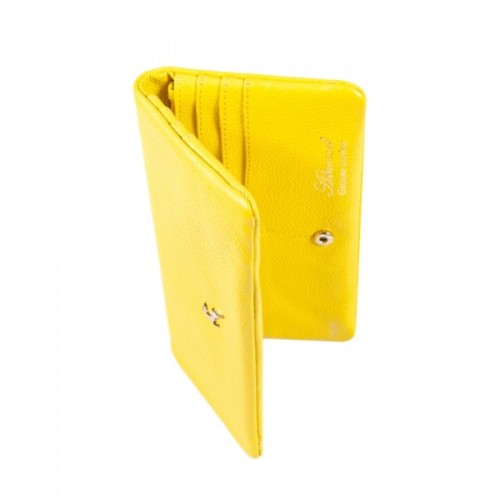 Гаманець Ashwood J56 Aurora