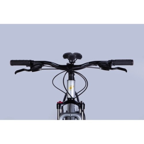 Велосипед Formula 29" F-1 DD CS рама-19" AL 2026 сріблясто-чорний (OPS-FR-29-436)