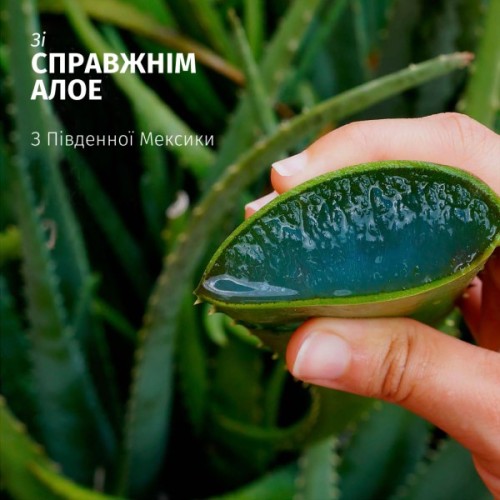 Шампунь Herbal Essences Зволоження Алое 350 мл (8700216211048)