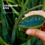Шампунь Herbal Essences Зволоження Алое 350 мл (8700216211048)