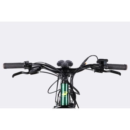 Електровелосипед Formula 29" eMOTION PLUS DD FR рама-19" 48B 15А*г 500Вт 2026 зелено-сірий (ELB-FR-29-260)