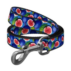 Повідець для собак WAUDOG Nylon "Інжир" L-XXL Ш 25 мм Д 300 см (762-4053)