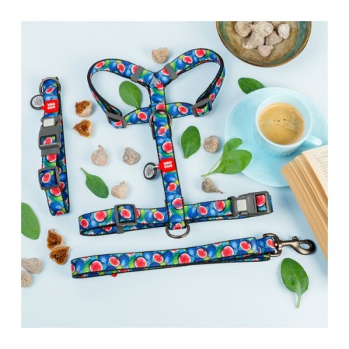 Повідець для собак WAUDOG Nylon "Інжир" L-XXL Ш 25 мм Д 300 см (762-4053)