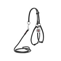 Шлея для собак WAUDOG Soft з QR паспортом кругла Д 6 мм А 42-60 см В 46-64 см чорна (46201)