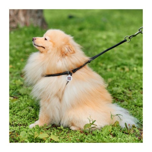 Шлея для собак WAUDOG Soft з QR паспортом кругла Д 6 мм А 42-60 см В 46-64 см чорна (46201)