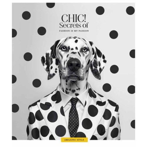 Зошит Школярик Fashion chiс 60 аркушів клітинка (060-3458K)