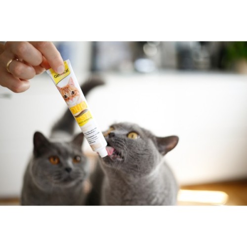 Паста для тварин GimCat DUO PASTE Multi-vitamin 12 vitamins with cheese 12 вітамінів та сир 50 г (4002064421841)