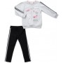 Спортивний костюм дитячий Breeze з лампасами (13666-110G-gray)