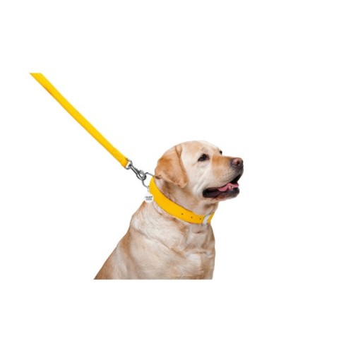 Повідець для собак WAUDOG Glamour шкіряний M-XXL жовтий (33768)