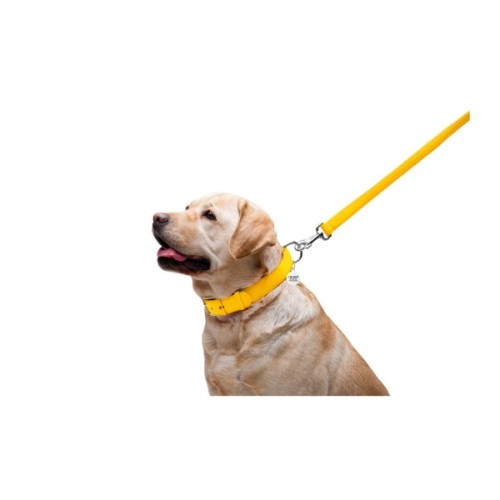 Повідець для собак WAUDOG Glamour шкіряний M-XXL жовтий (33768)