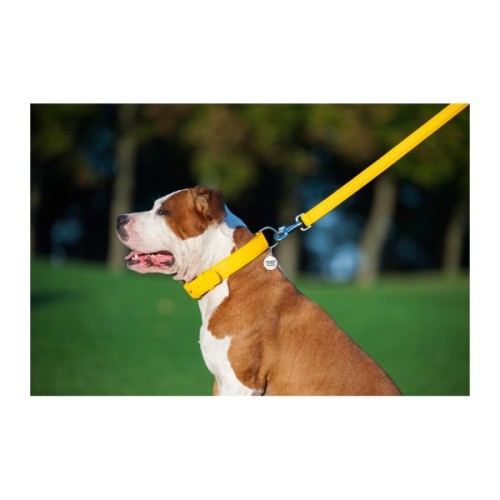 Повідець для собак WAUDOG Glamour шкіряний M-XXL жовтий (33768)