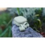 Навушники Sony LinkBuds Clip WF-LC900 Green (WFLC900G.E)