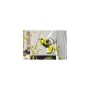 Кущоріз Ryobi сучкоріз RY18SCA-0, 18В ONE+, d 25мм, (без АКБ та ЗП) (5133005024)