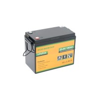 Батарея LiFePo4 Dyness 25,6V 100Ah (80/100A) (Eco-Worthy-251002)