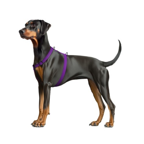 Шлея для собак WAUDOG Magnet анатомічна Н-подібна з QR-паспортом, магнітна пряжка-фастекс М фіолетова (26239)