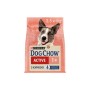Сухий корм для собак Purina Dog Chow Active Adult зі смаком курки 2.5 кг (7613034487858)