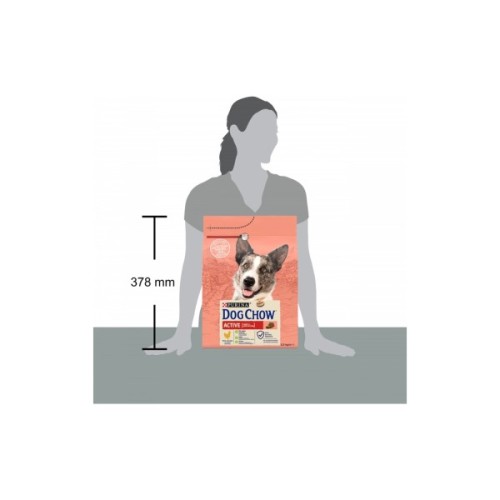 Сухий корм для собак Purina Dog Chow Active Adult зі смаком курки 2.5 кг (7613034487858)