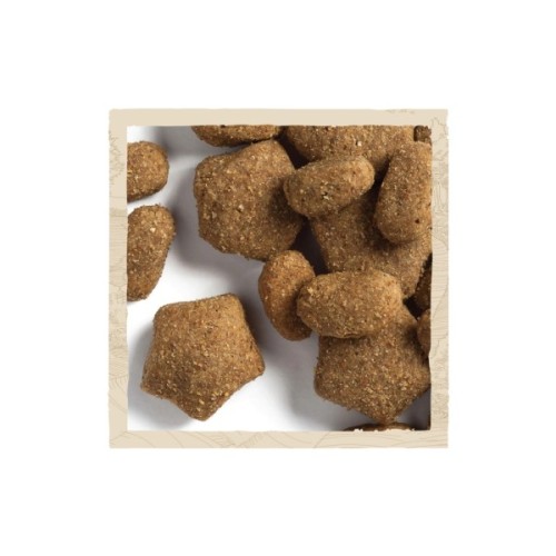 Сухий корм для собак Purina Dog Chow Active Adult зі смаком курки 2.5 кг (7613034487858)