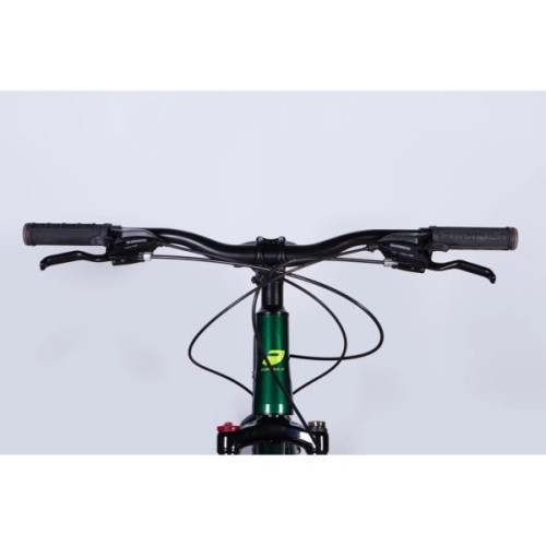 Велосипед Formula 29" MOTION DD FR рама-17" AL 2026 зелений (OPS-FR-29-417)