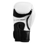 Боксерські рукавички Title Boxing Vegan Gloves White/Black 8 oz (VGFBG 8 oz WH/BK)