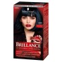 Фарба для волосся Brillance 891-Синьо-чорний 142.5 мл (4015000509848)