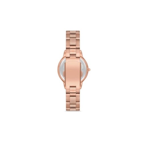 Наручний годинник Ferro F21124A-C