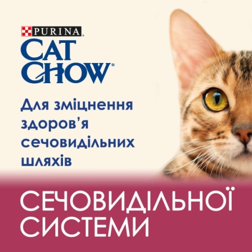 Сухий корм для кішок Purina Cat Chow Urinary Tract Health з куркою 1.5 кг (5997204514387)