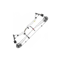 Лук Poe Lang Axis 30-70 LBS White (C0-039W)