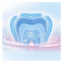 Зубна щітка Oral-B Colors Середньої жорсткості 4 шт. (8001090675521)