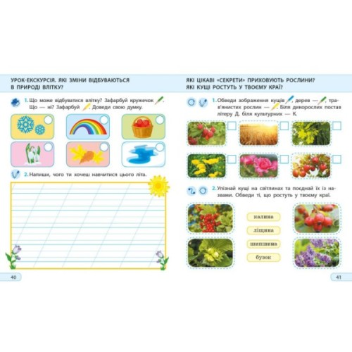 Робочий зошит НУШ ДИДАКТА. Я досліджую світ. 2 клас. У 2-х частинах. Частина 2 - А.О. Пуляєва Ранок (9786170974044)