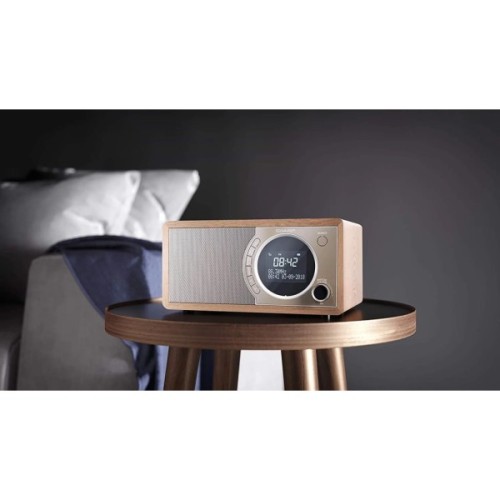 Портативний радіоприймач Sharp DR-450 Beige (DR-450BR)