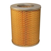 Повітряний фільтр для автомобіля Wixfiltron WA6081