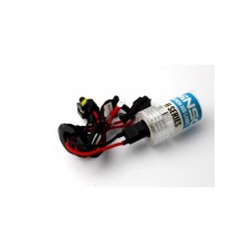 Автолампа WINSO H7 6000K, 85V, 35W PX26d (747600)