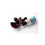 Автолампа WINSO H7 6000K, 85V, 35W PX26d (747600)
