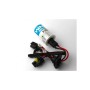 Автолампа WINSO H7 6000K, 85V, 35W PX26d (747600)